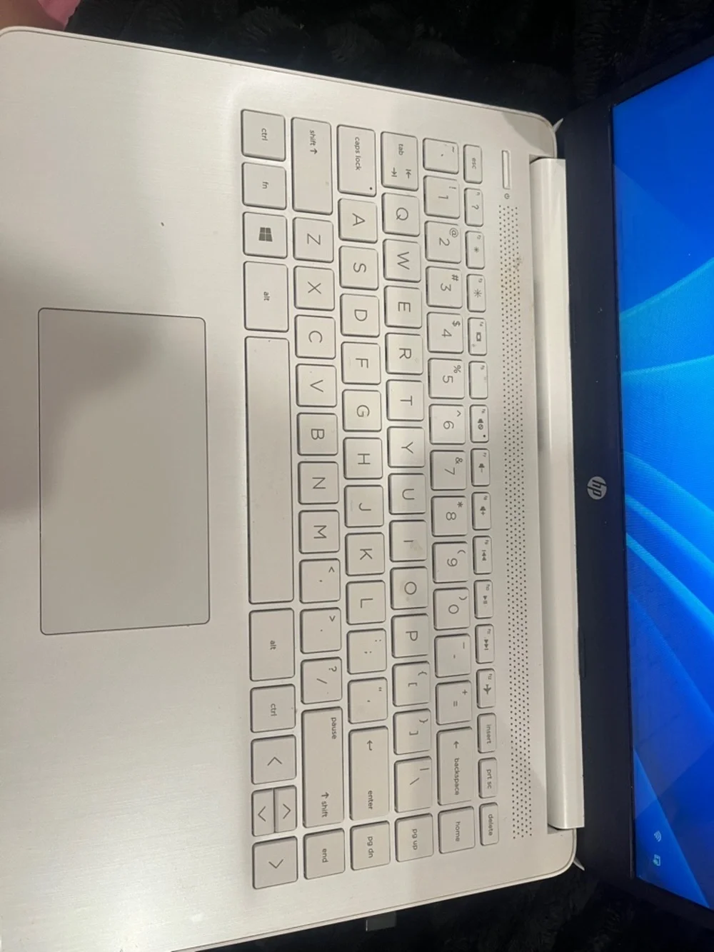 HP White Laptop with Silver Logo